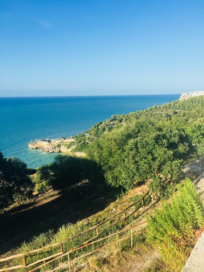 Villa Casa Michela Vico Del Gargano Exterior foto